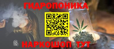 a pvp Будённовск