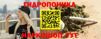 a pvp Будённовск