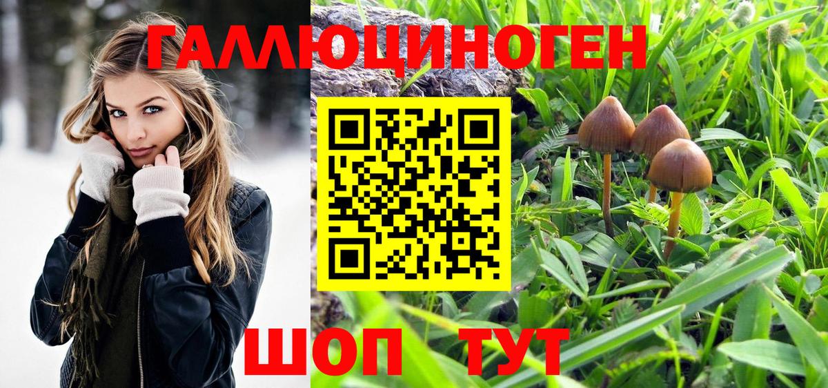 Кандалакша  магазин  наркотиков  Вход с VPN  Псилоцибиновые грибы ЛСД 